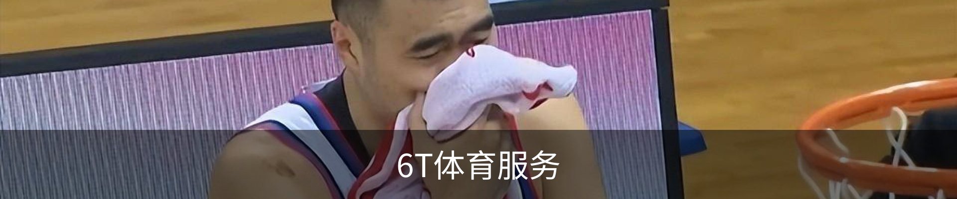 6T体育服务