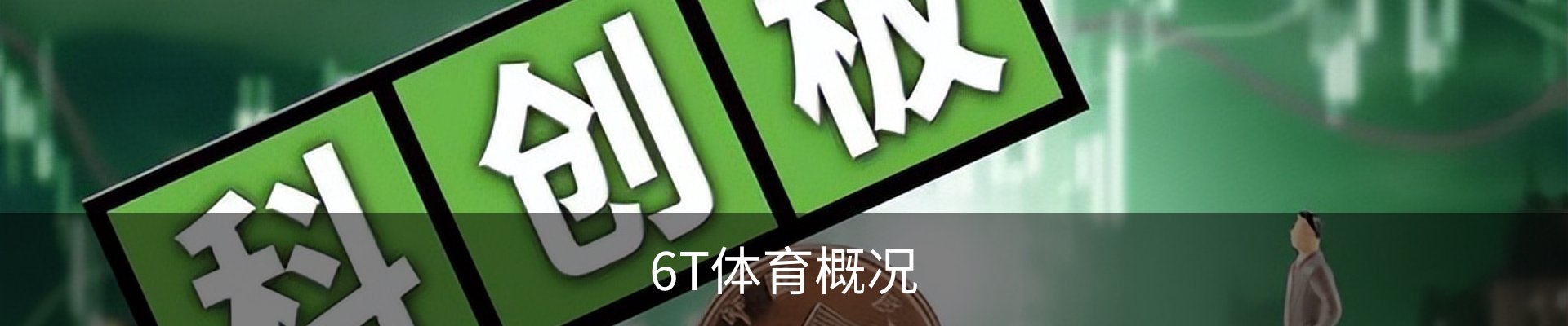 6T体育概况